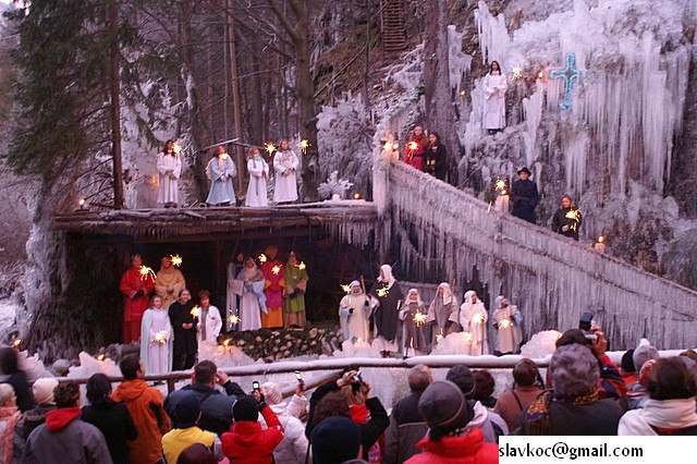 Žive laslice v ledu - Mlačca - foto povečava