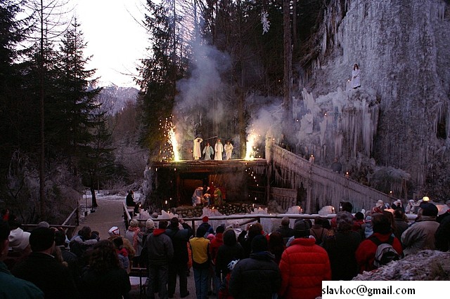 Žive laslice v ledu - Mlačca - foto povečava