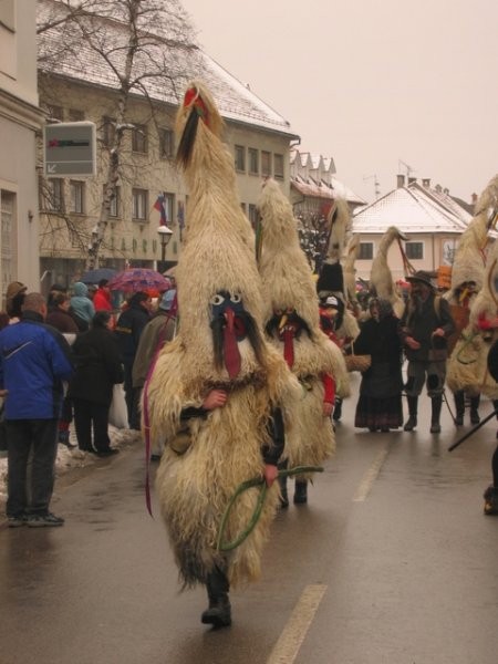 Pust Ribnica 04 - foto