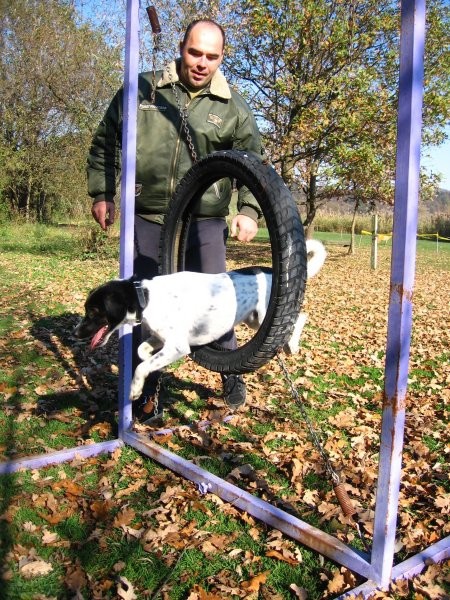 Agility 4.11.2006 - foto povečava