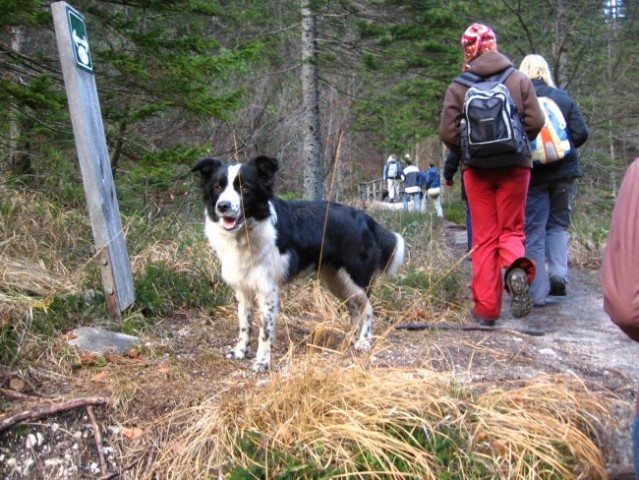 Bc srečanje 12.11.2006 - foto