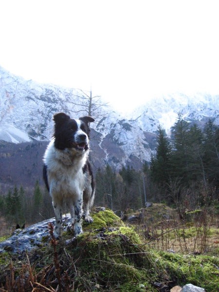 Bc srečanje 12.11.2006 - foto povečava