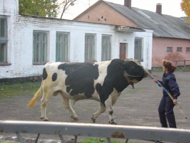 Ekskurzija Ukrajina - foto