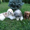 Tampico, Kajči & Michelle, ki zeha  ;)