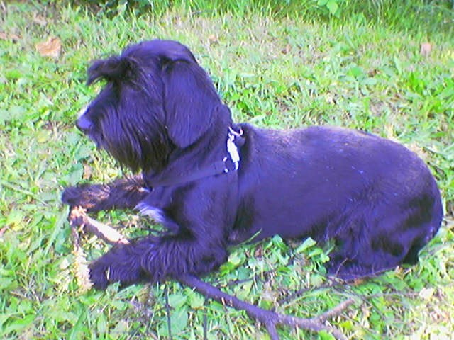 Frida - Kolpa 2004