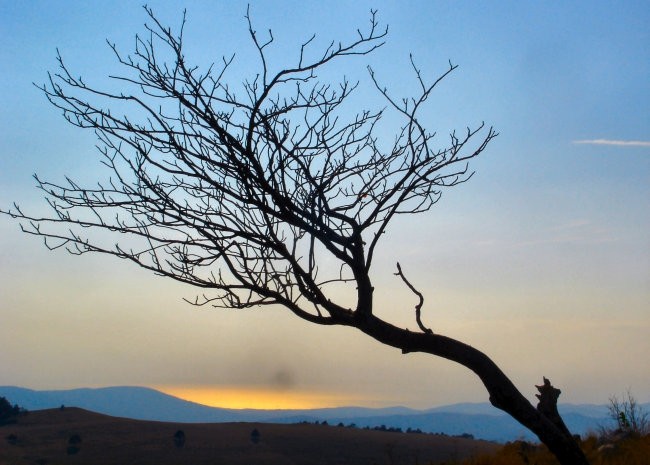 Razno - foto povečava