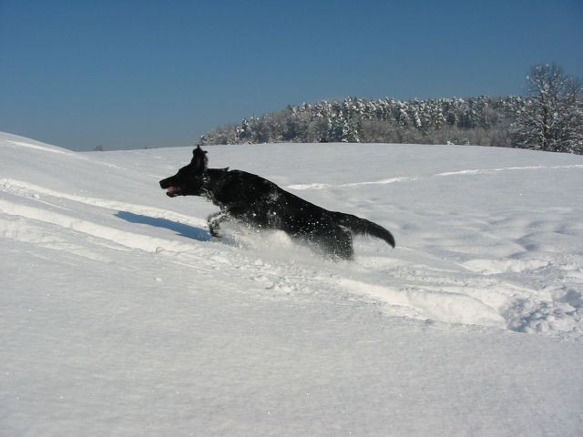 Zima 2005 / 2006 - foto povečava