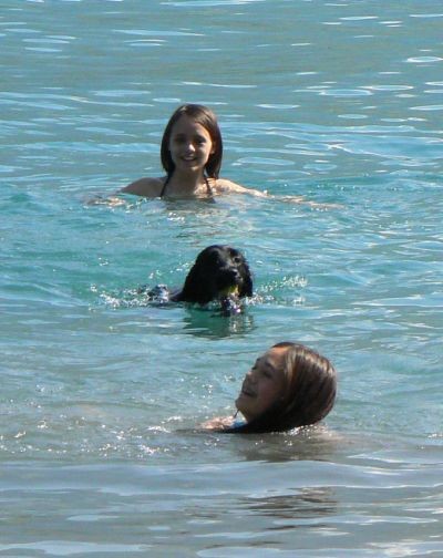 Kako je smešno plavati s psom, sploh pa če plava tako hitro!