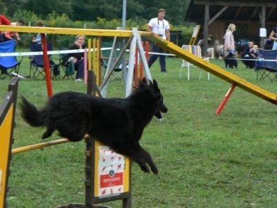 Agility4fun-KD Krim, 26.8.06 - foto povečava