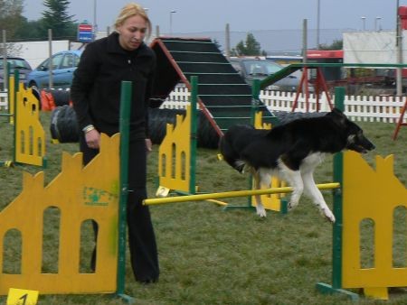 Agility4fun - KD Obala - 25.11.06 - foto povečava