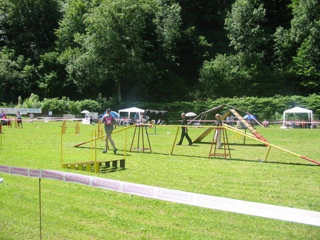 Agility_tekma - foto