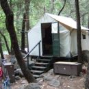 Curry Village tent (and bear box)