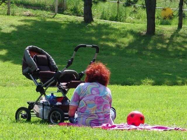 Utrinki življenja - foto povečava