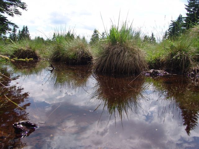 Pokrajine - foto