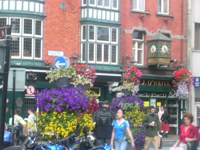 Živopisano cvetje na dublinskih ulicah
