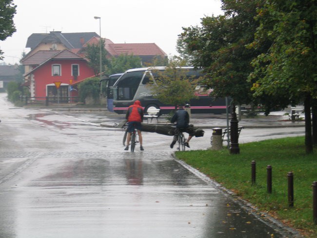 Sticna - foto povečava