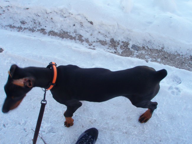 Prvi snežni sprehod! - foto povečava