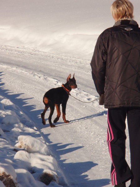 Prvi snežni sprehod! - foto povečava