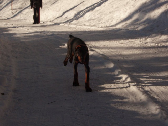 Prvi snežni sprehod! - foto