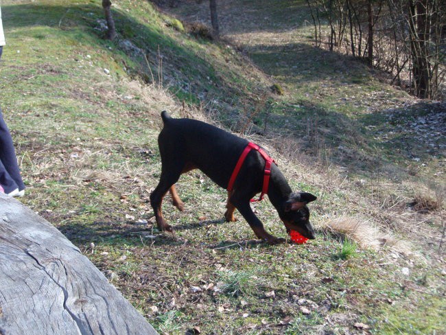 Iro- 4 mesece - foto povečava