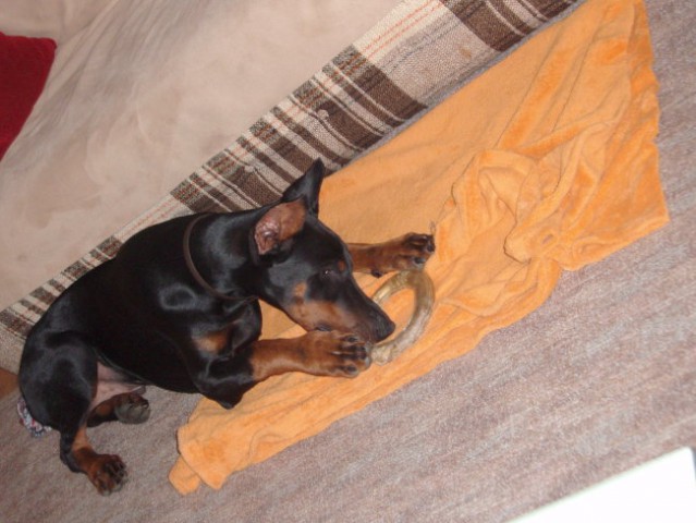 Iro-5 mesecev - foto