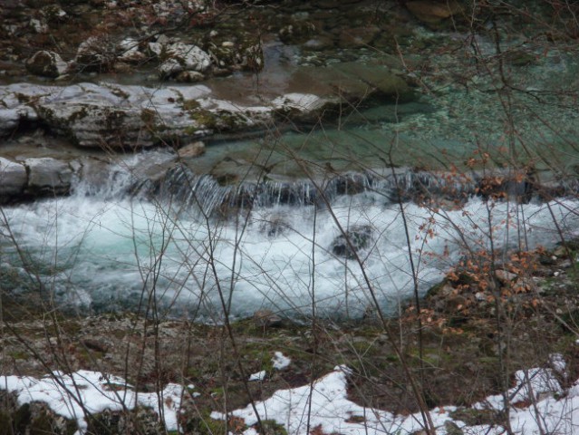 Iro-5 mesecev - foto