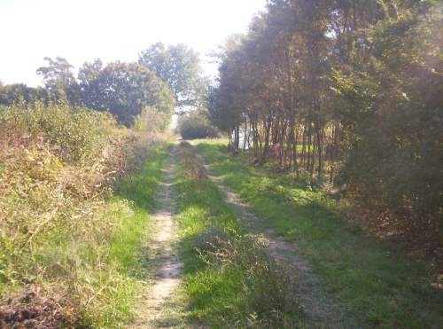 Kuća markovac - foto
