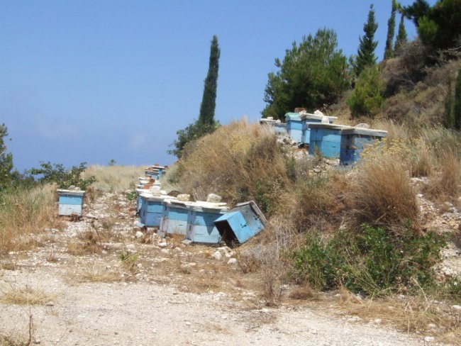 Lefkada 2008 - foto povečava