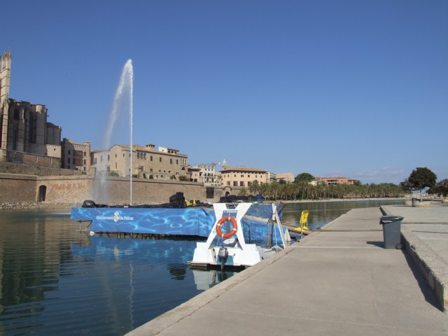 Palma cathedral