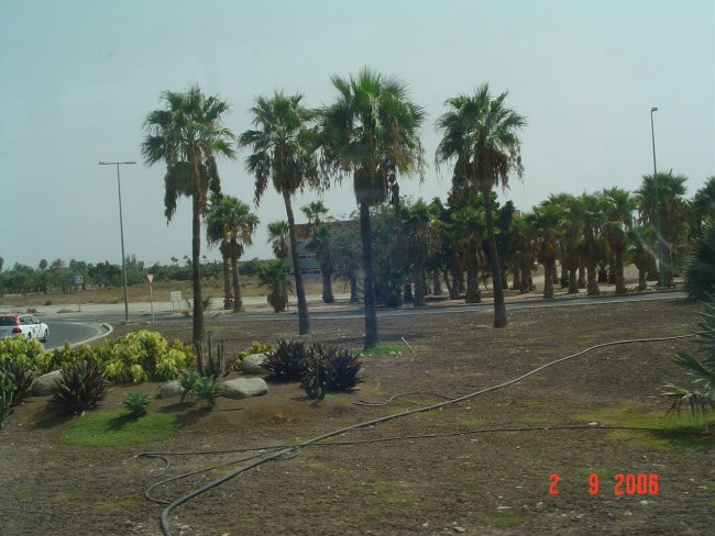 Gran canaria 2006 - foto povečava