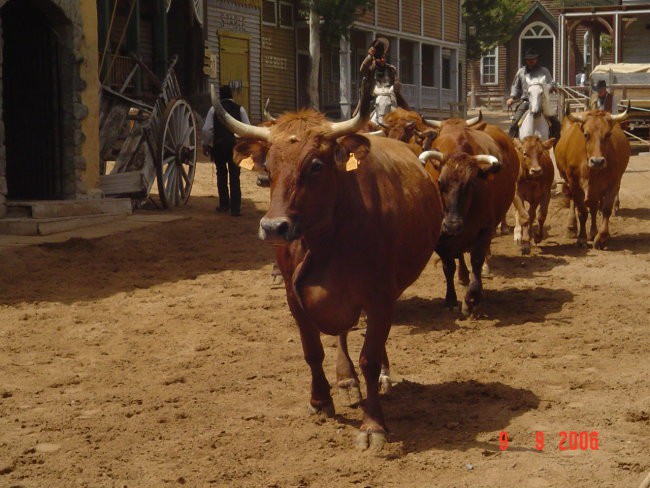 Gran canaria 2006 - foto povečava