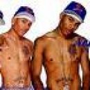 nelly banner
