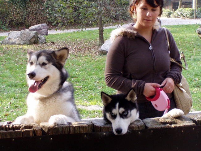 Aska, Ben in Sany v ZOOju - foto povečava