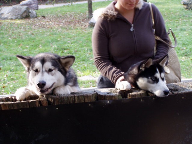 Aska, Ben in Sany v ZOOju - foto