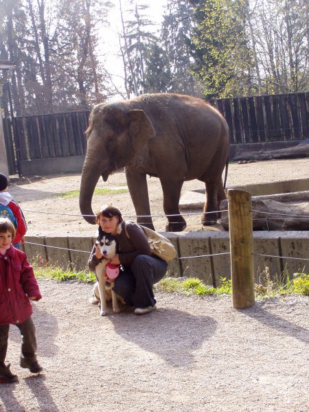 Aska, Ben in Sany v ZOOju - foto