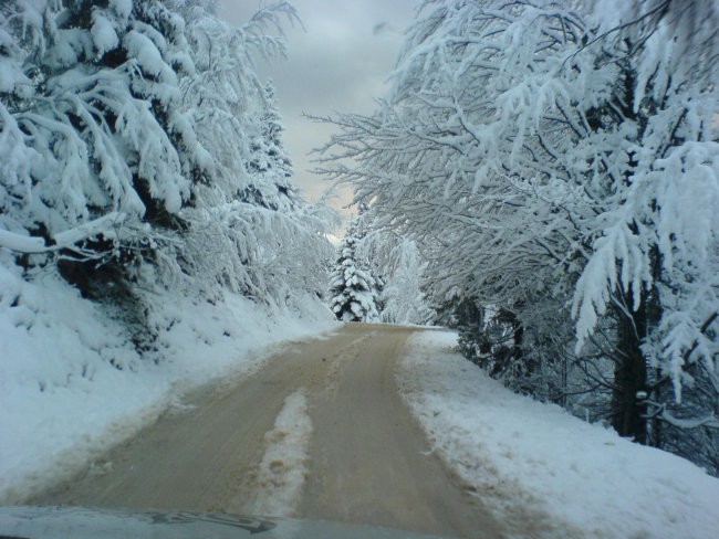 Na Krvavcu - foto povečava