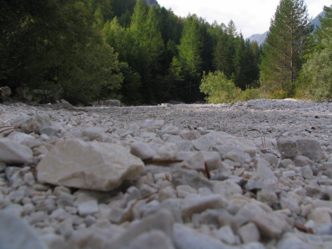 Narava - foto povečava