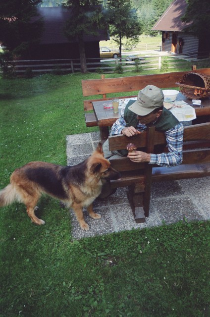 Bredine fotografije iz Drage pri Igu - foto