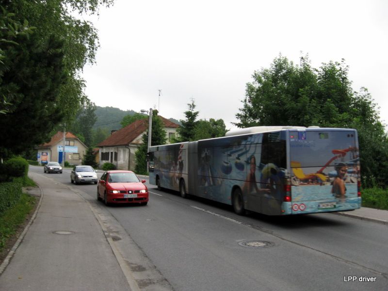 18.06.2010 - foto povečava