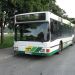LJ-LPP-399
