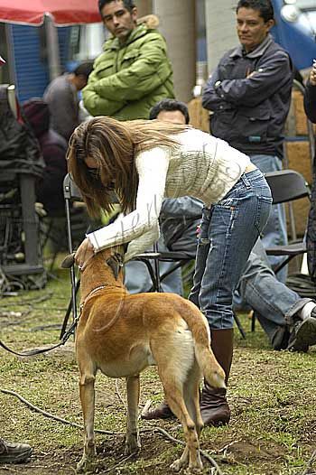 Paparazzi 2006 - foto povečava