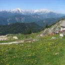 cvetoča Belska planina, nanjo pripelje cesta