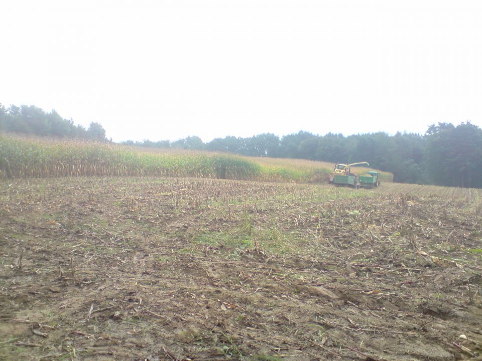 Silos 2009 - foto povečava