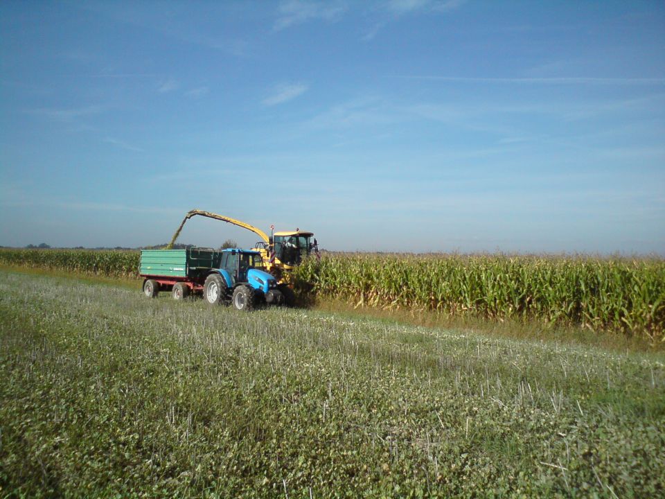 Silos 2010 - foto povečava