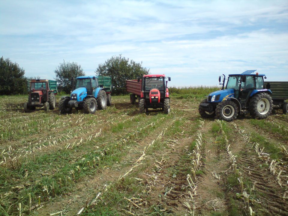 Silos 2010 - foto povečava