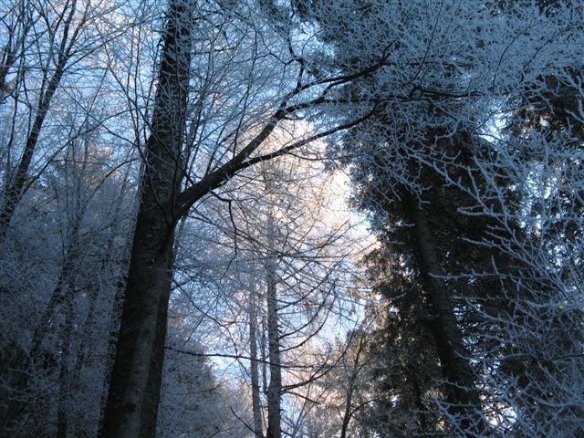 26.12.2006 Kao Kepa - foto povečava