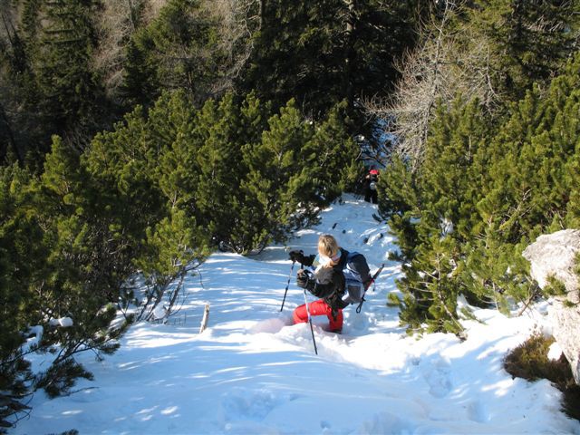 26.12.2006 Kao Kepa - foto povečava