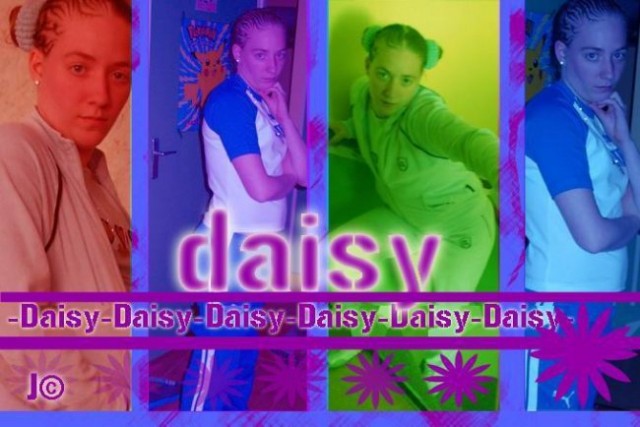Daisy kar 4x