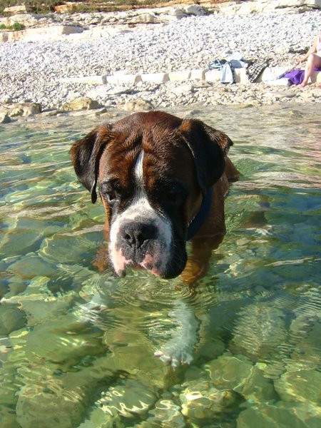 Jaa...gremo plavat :)