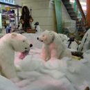 icebears in the shopping mall Europark
